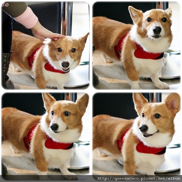 3.jpg 3.jpg