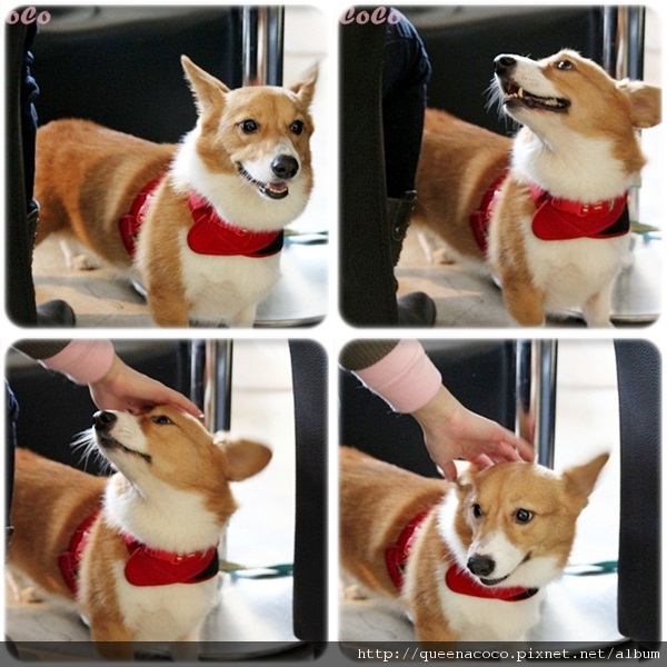 2.jpg 2.jpg