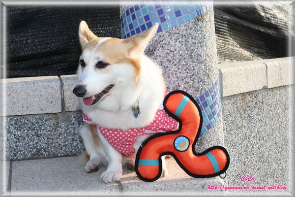DPP_0338.jpg DPP_0338.jpg