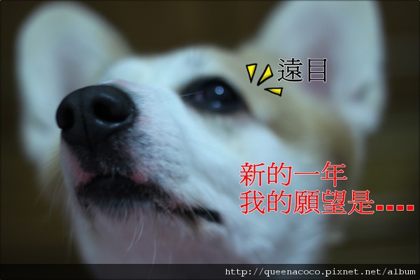 8.JPG 8.JPG