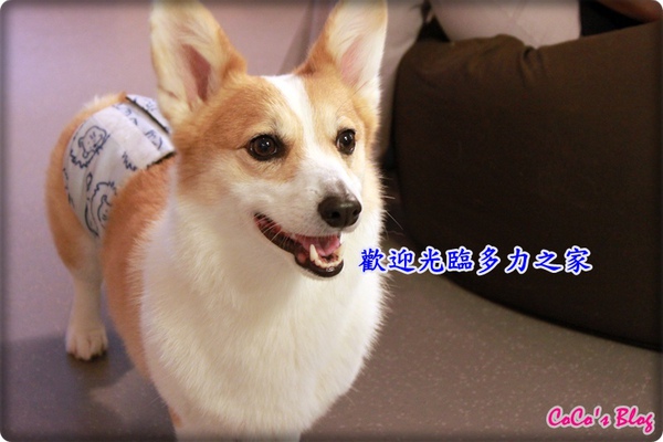 14.JPG 14.JPG