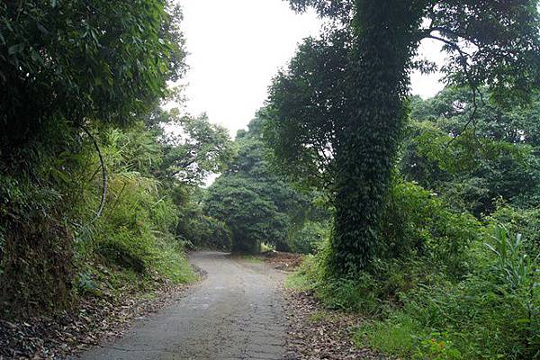 清境聚彩園民宿-00
