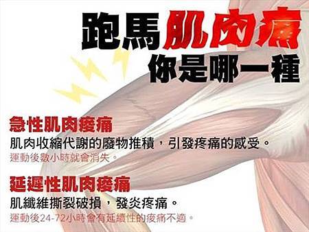 雙腿硬化誰人知 為什麼肌肉會痠痛