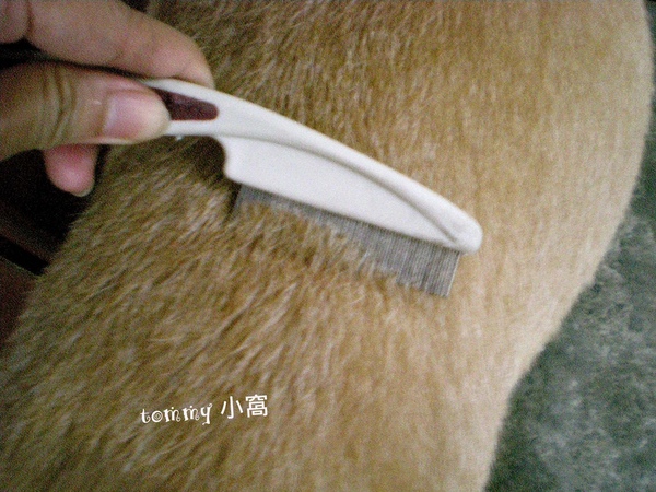 DSCN3567拷貝.jpg DSCN3567拷貝.jpg