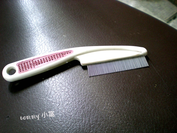 DSCN3564拷貝.jpg DSCN3564拷貝.jpg