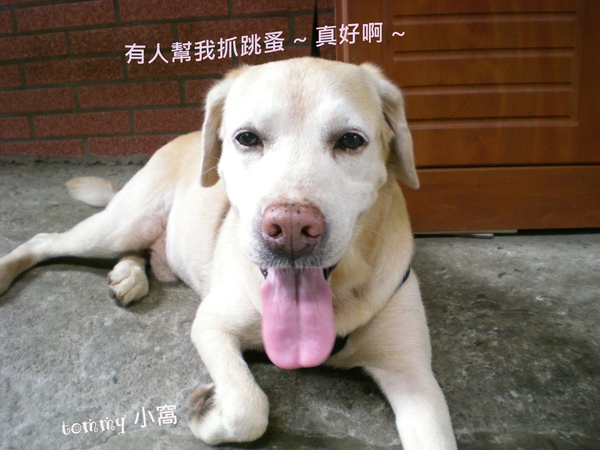 DSCN3562拷貝.jpg DSCN3562拷貝.jpg