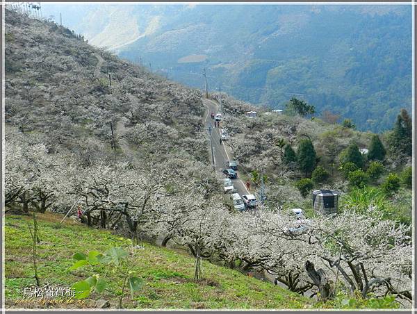 照片 094_meitu_1_meitu_11