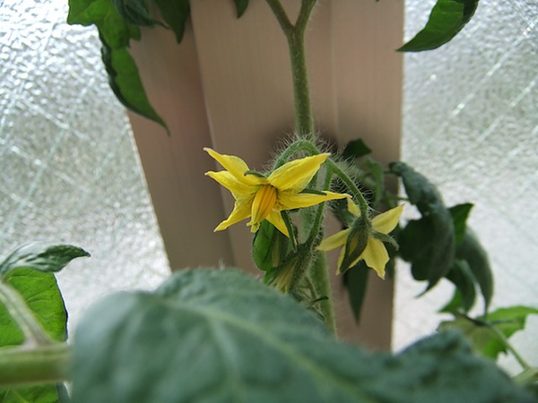DSCF3393.JPG