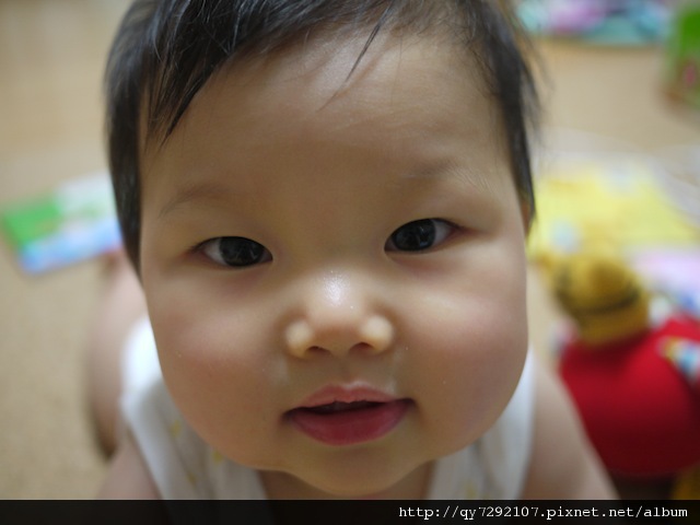 P1010410.JPG