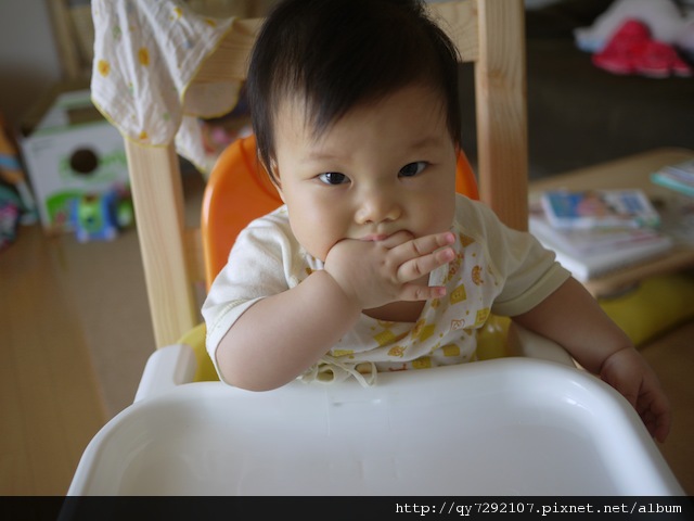 P1010443.JPG