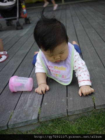 P1010587.JPG