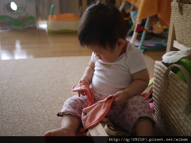 P1010611.JPG P1010611.JPG