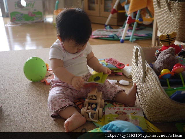 P1010617.JPG P1010617.JPG