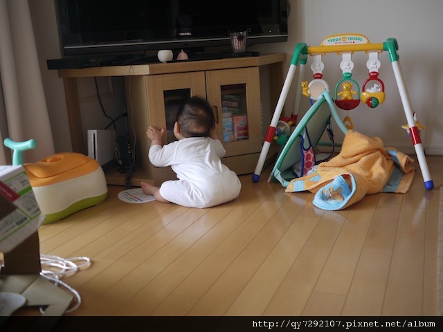 P1010648.JPG