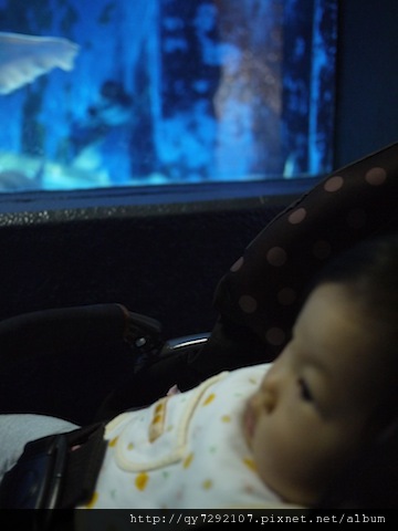 P1010931.JPG