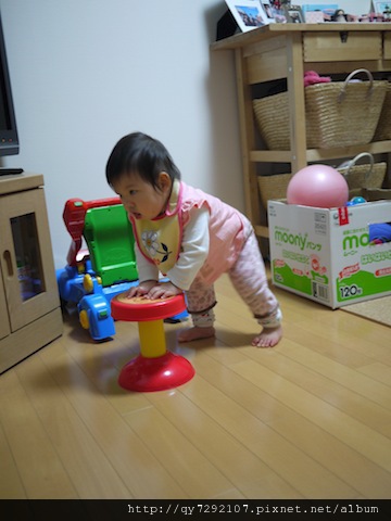 P1020341.JPG