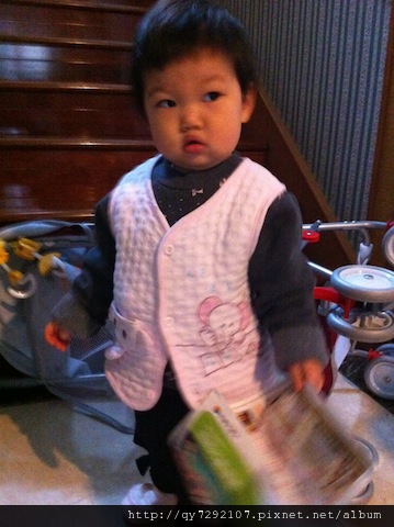 IMG_1727 IMG_1727