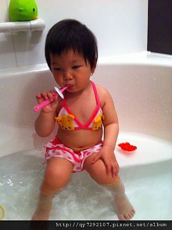 IMG_2306 IMG_2306