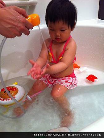 IMG_2309 IMG_2309
