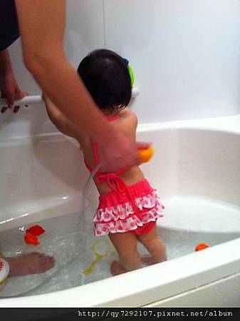 IMG_2312 IMG_2312