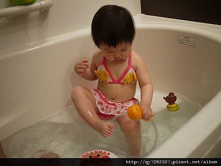 P1040059 P1040059