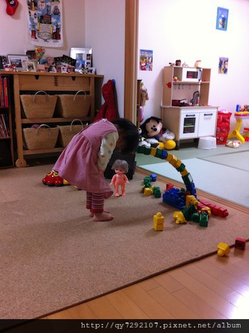 IMG_3341 IMG_3341