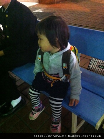 IMG_3238 IMG_3238
