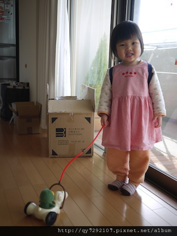 P1050180 P1050180
