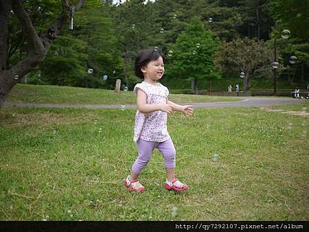 P1060055 P1060055