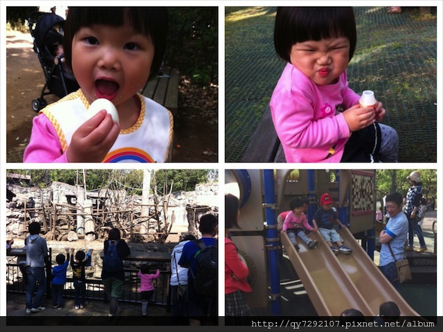 IMG_4156_Fotor_Collage