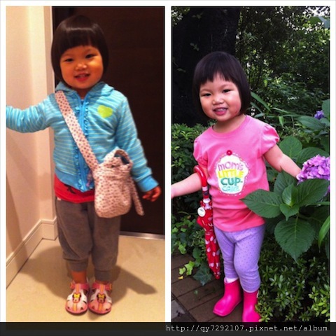 IMG_4274_Fotor_Collage IMG_4274_Fotor_Collage