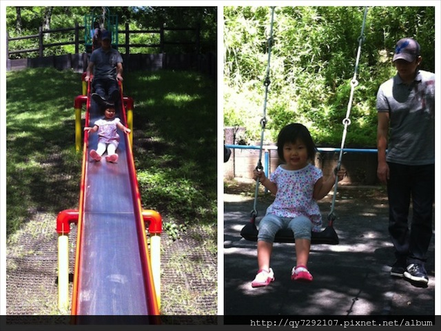 IMG_4197_Fotor_Collage: IMG_4197_Fotor_Collage: