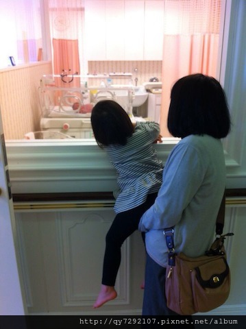 IMG_5393 IMG_5393