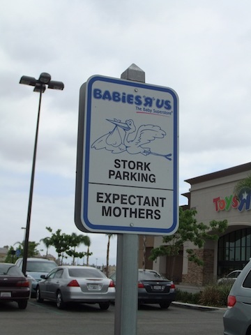 DSCF4916.JPG
