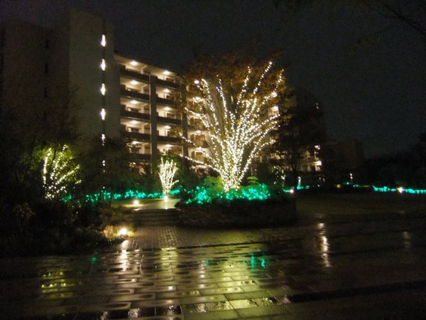 DSCF0559.JPG