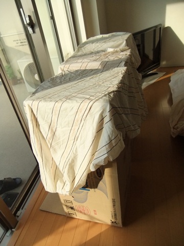 DSCF0686.JPG