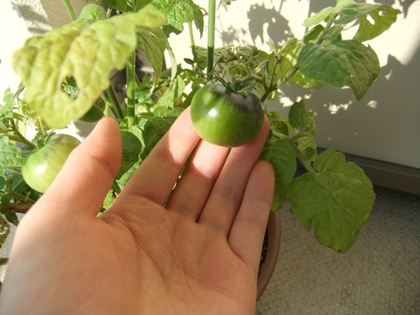 DSCF0863.JPG