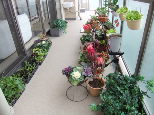 DSCF0898.JPG DSCF0898.JPG