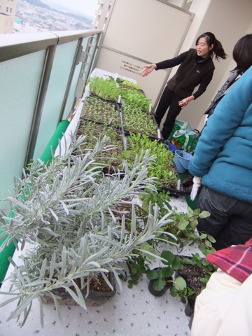 DSCF0900.JPG DSCF0900.JPG