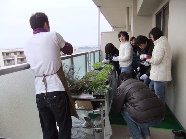 DSCF0901.JPG DSCF0901.JPG