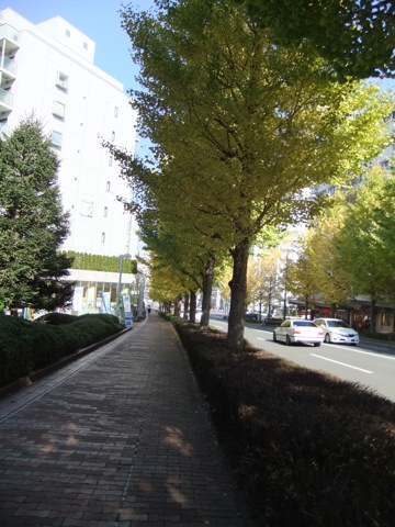 DSCF0905.JPG DSCF0905.JPG