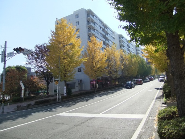 DSCF0906.JPG DSCF0906.JPG