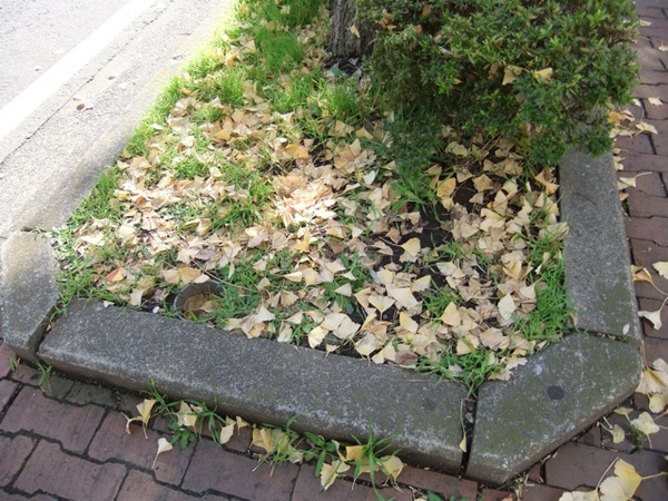 DSCF0908.JPG DSCF0908.JPG