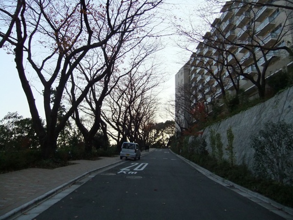 DSCF0975.JPG