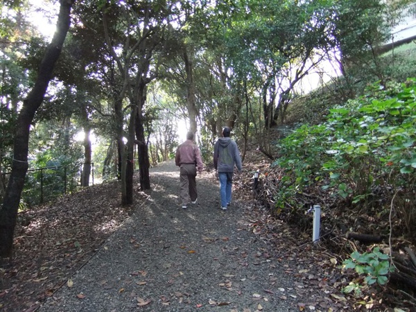 DSCF0923.JPG DSCF0923.JPG