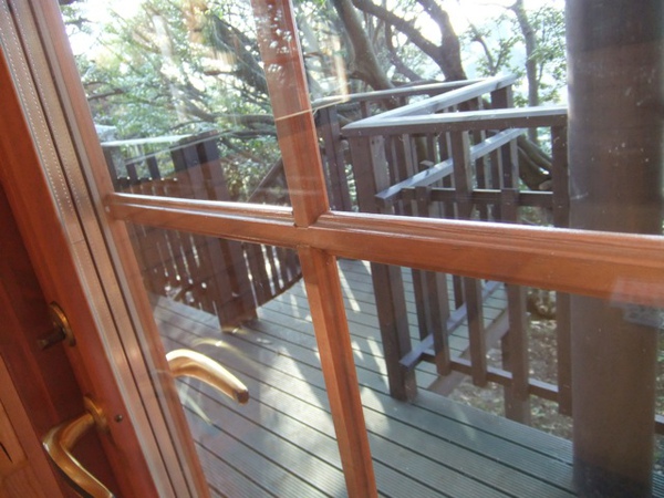 DSCF0950.JPG DSCF0950.JPG