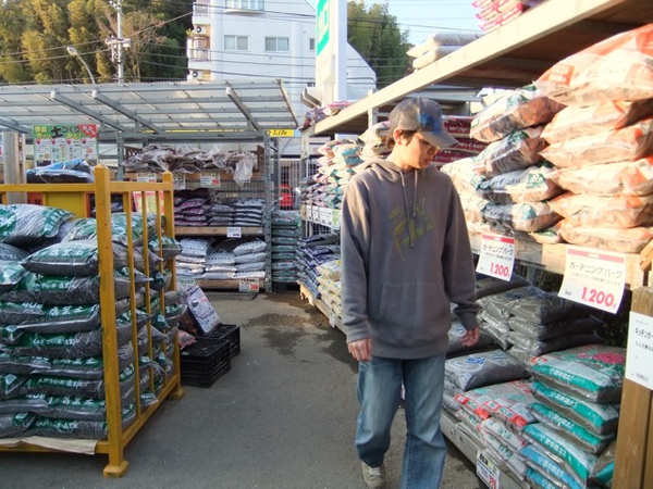 DSCF0986.JPG DSCF0986.JPG