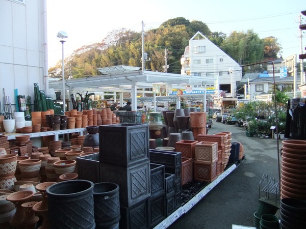 DSCF0987.JPG DSCF0987.JPG