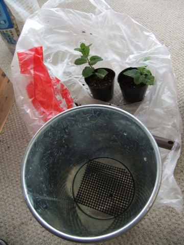 DSCF1038.JPG DSCF1038.JPG