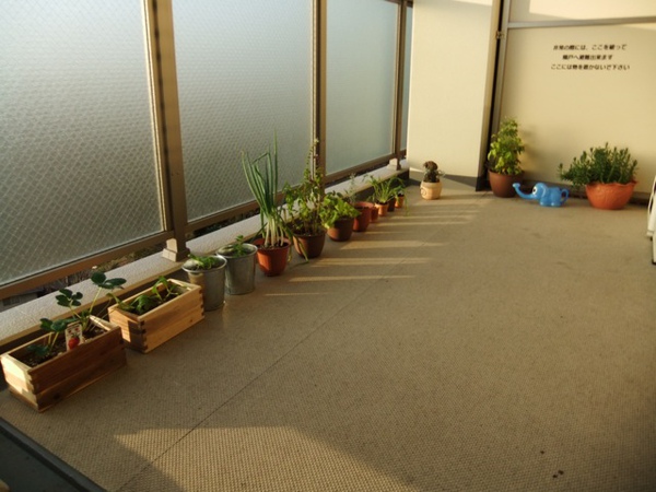 DSCF1041.JPG DSCF1041.JPG